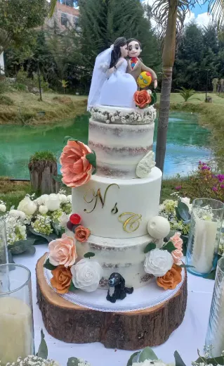 Torta Naked Matrimonio - DNela Reposteria